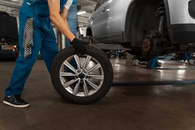 Locate the Spare Tire and Jack